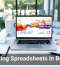 Rethinking Spreadsheets in Business